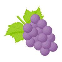 trendy beautyberry-concepten vector