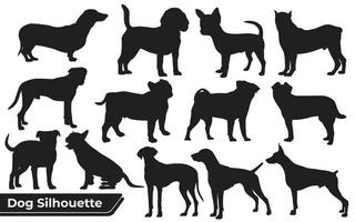 verzameling dierenhond in verschillende posities vector