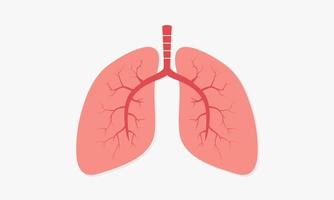 organen menselijke long. ademhaling vectorillustratie. vector