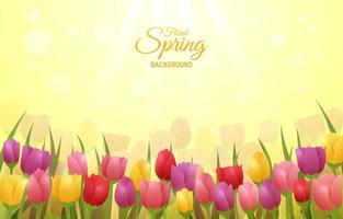 frisse lente bloemen achtergrond vector