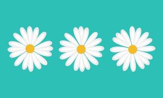 bloemen daisy kamille vectorillustratie op witte achtergrond. creatief icoon. vector