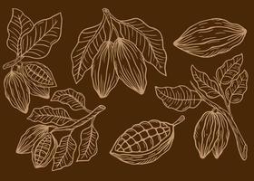 handgetekende cacao, bladeren, cacaozaden en chocoladeillustratieset vector