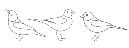 vector set van vogels silhouet. zittende en vliegende vogels