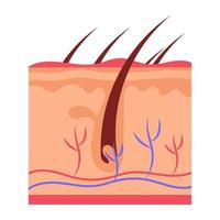 trendy epidermisconcepten vector