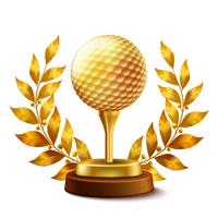 Gouden golfprijs vector