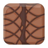 chocolade brownie cake vector