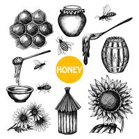 Honing set zwarte hand getrokken doodle vector