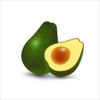 vector realistische vers fruit avocado geïsoleerd op een witte achtergrond. geheel en in tweeën gesneden avocado met pit. vectorillustratie
