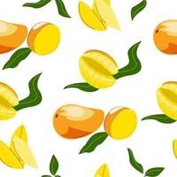 naadloos patroon met mango geheel en stukken. vector