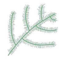 fir tree branch, Kerstmis en Nieuwjaar symbool. vector