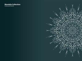 mandala patroon vintage etnisch stammen sjabloon stijl element behang achtergrond motief cirkel kunst textuur print traditioneel elegant rpund ornament tekening decoratie goud meditatie bloem aziatisch vector