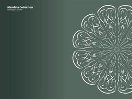 mandala patroon vintage etnisch stammen sjabloon stijl element behang achtergrond motief cirkel kunst textuur print traditioneel elegant rpund ornament tekening decoratie goud meditatie bloem aziatisch vector