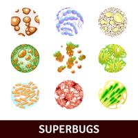 Superbugs Realistic Set vector