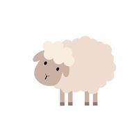 schattige schapen in cartoon-stijl. kinderillustratie van een schaap. vector huisdier.