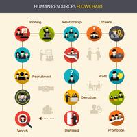 Stroomdiagram van Human Resources vector