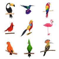 Exotische vogels ingesteld vector