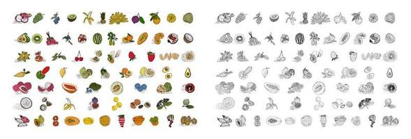 fruit hand getrokken stijl vector set.