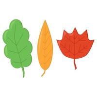 set van drie eenvoudige bladeren in cartoonstijl, herfstbladeren in verschillende kleuren en vormen vector