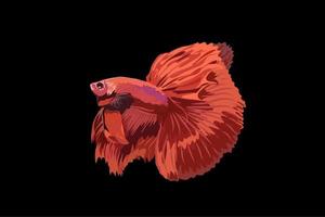 betta vis vector illustratie