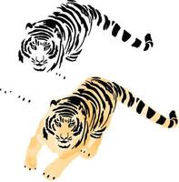 het jaar van de tijger Vectorbeelden vector