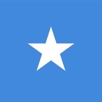 Somalië vierkante nationale vlag vector