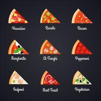 Pizza plakjes pictogramserie vector