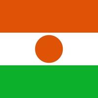 niger vierkante nationale vlag vector