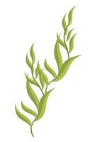 sealife bladeren plant vector