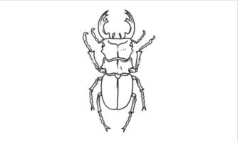 vector lineart illustratie van kevers op witte achtergrond, hand getrokken Japanse gehoornde kever bug insect sketch