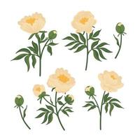 collectie van bladeren, knoppen, bloemen beige pioenrozen. set bloemen elementen geïsoleerd op wit. hand getrokken botanische vectorillustratie voor huwelijksuitnodiging, patronen, behang, stof, inwikkeling vector