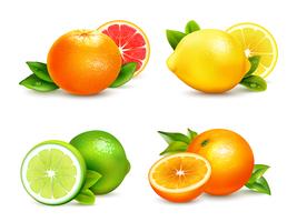 Citrusvruchten 4 Realistische Icons Set vector