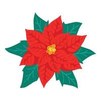 poinsettia bloem, symbool van kerst vector