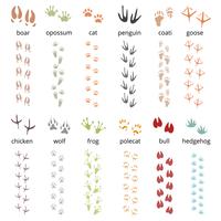 dierenspoor print set vector