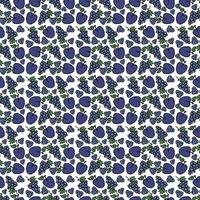 vectorvoedselpictogrammen met druif en pruim op witte achtergrond. gekleurd naadloos patroon met blauwe fruitpictogrammen. vector