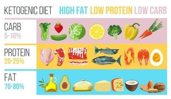 ketogeen dieet. een groot aantal producten voor het keto dieet. vectorillustratie. vlees, vis, groenten, oliën, noten, eieren. kleurrijke poster met verschillende producten. vector