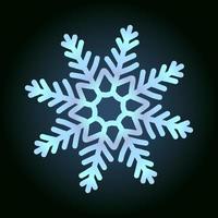 mooie sneeuwvlok voor winterontwerp, symbool van nieuwjaar en kerstvakantie vector