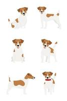 set van poses van de jack russell terrier hondenras op een witte achtergrond vector