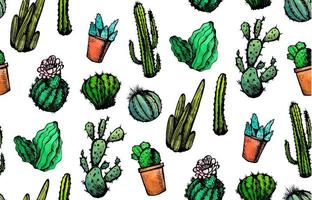 hand getekend geïsoleerde cactussen naadloze patroon vector