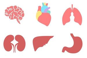 menselijke interne organen stip en lijnen technologie concept. hersenen, lever, maag, hart, longen, nieren aangesloten illustratie. anatomie wetenschappelijke poster voor schoolboek ontwerp lay-out vectorillustratie. vector