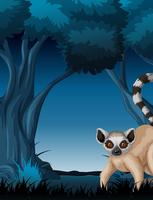 Lemur die zich dichtbij Boom bij Nacht bevindt vector