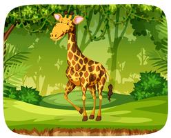 Een giraffe in het bos vector