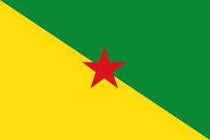 vlag van frans-guyana vector