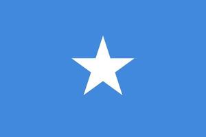 vlag van somalië vector