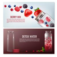 Detox Dranken Horizontale Banners vector