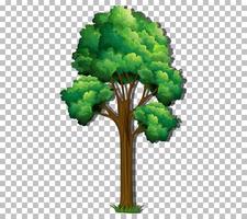 een boom met groene bladeren op rasterachtergrond vector