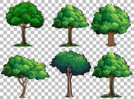 set van verschillende bomen op rasterachtergrond vector