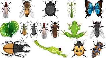 verschillende insecten collectie geïsoleerd op een witte achtergrond vector