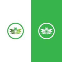 logo's van groene boom blad ecologie vector