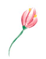 Leuke lente aquarel Vector bloem. Kunst geïsoleerd object voor huwelijksboeket