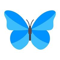 blauwe morpho vlinder vector